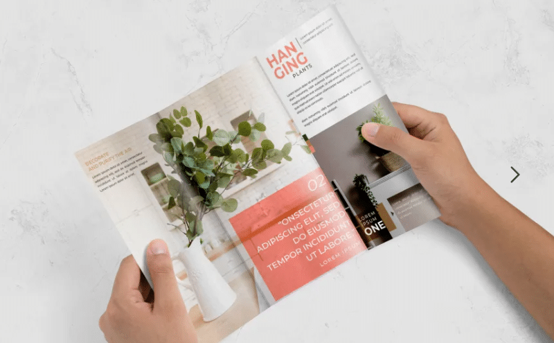 Folded Leaflets